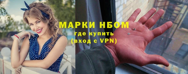 a pvp Ельня